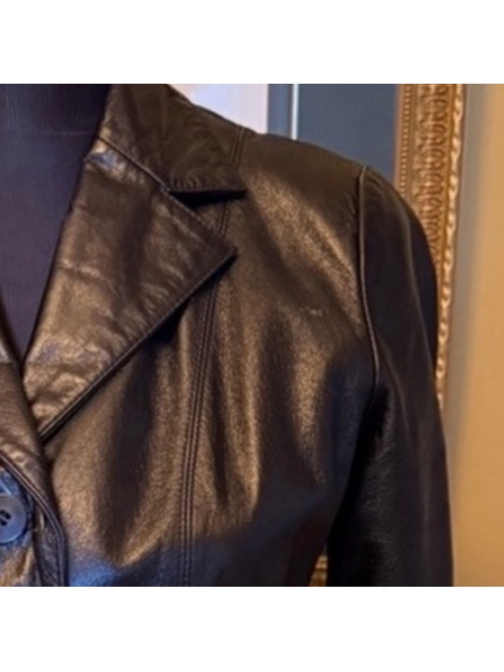 Danier Leather Button-Front Jacket - Picture 5 of 10